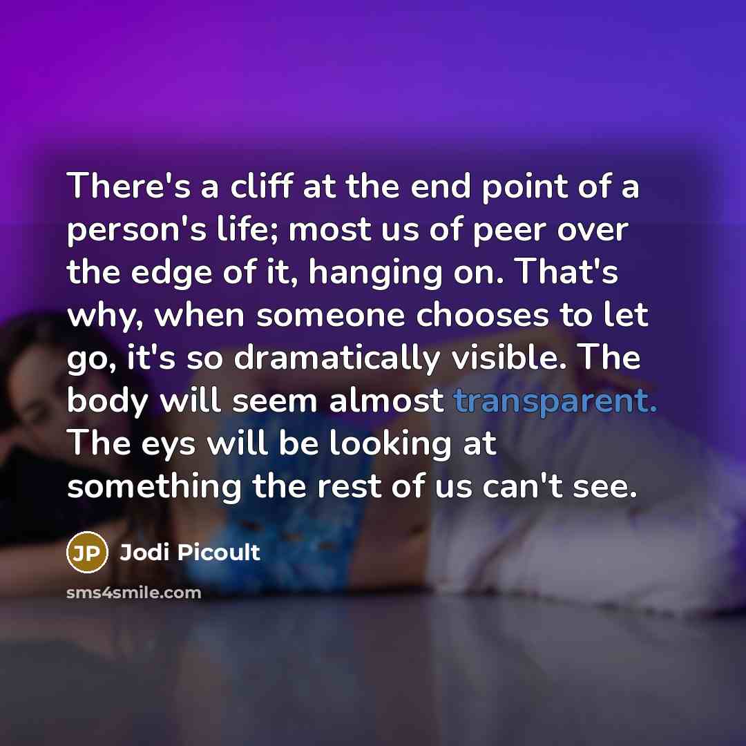 “There's a cliff at the end point of a person's…” quote by Jodi Picoult