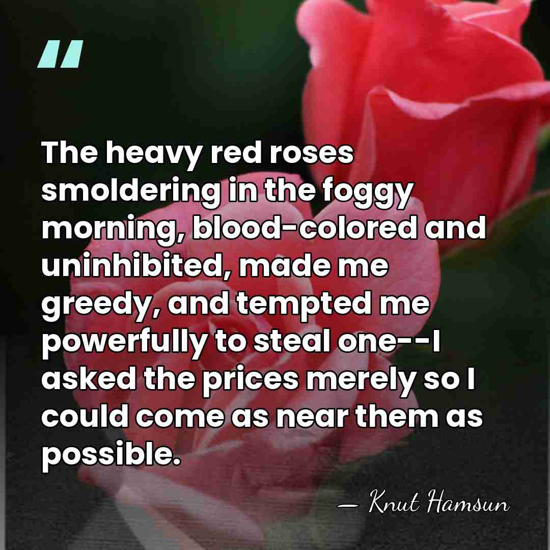 The heavy red roses smoldering in the foggy morning, blood-colored and uninhibited,&hellip; - Knut Hamsun