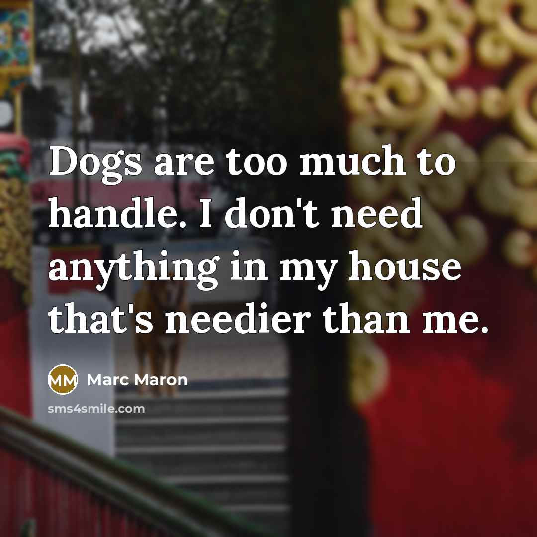 “Dogs are too much to handle. I don't need anything…” quote by Marc Maron