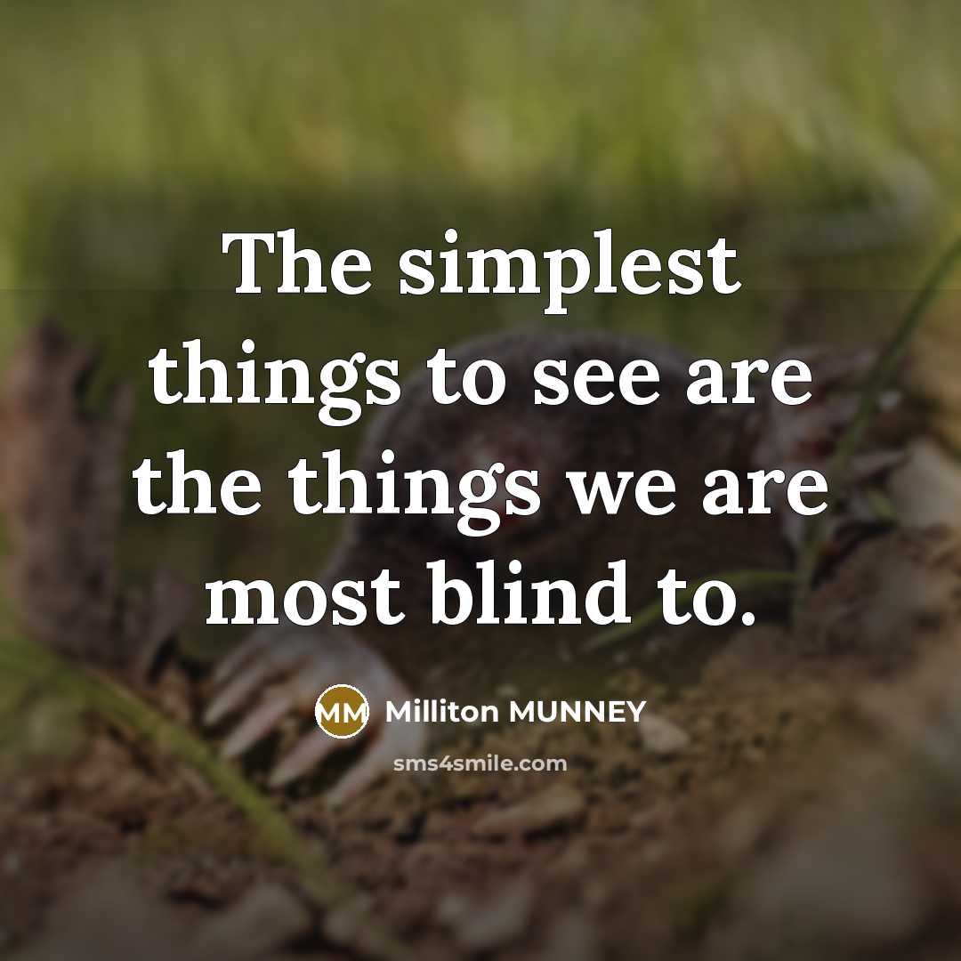 “The simplest things to see are the things we are…” quote by Milliton MUNNEY