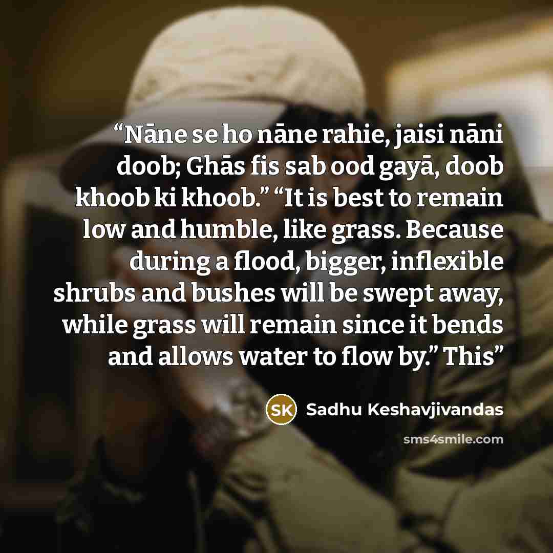 “Nāne se ho nāne rahie, jaisi nāni doob; Ghās fis sab ood gayā, doob khoob ki khoob.” “It is best to remain low and humble, like grass. Because during a flood, bigger, inflexible shrubs and bushes will be swept away, while grass will remain since it bends and allows water to flow by.” This” quote by Sadhu Keshavjivandas