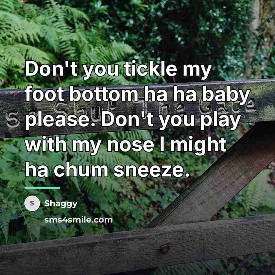 “Don't you tickle my foot bottom ha ha baby please.…” quote by Shaggy