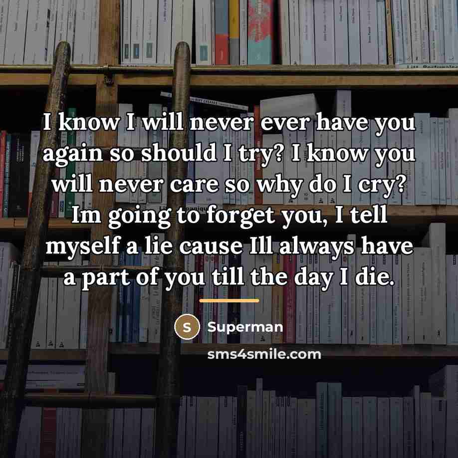 “I know I will never ever have you again so…” quote by Superman