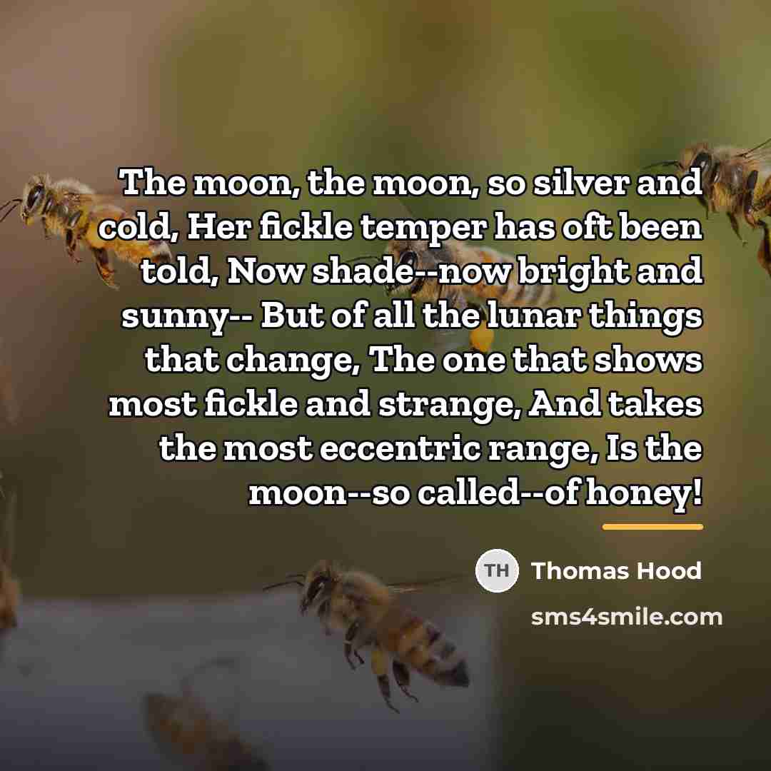 “The moon, the moon, so silver and cold, Her fickle…” quote by Thomas Hood
