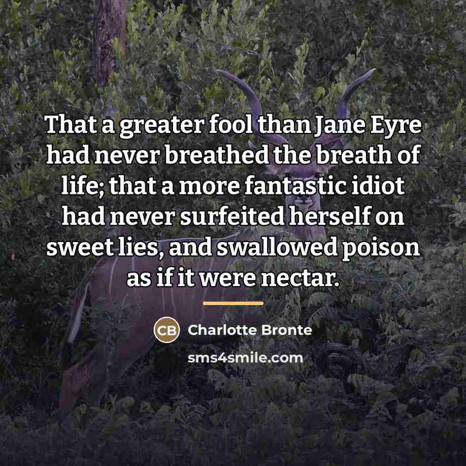 “That a greater fool than Jane Eyre had never breathed…” quote by Charlotte Bronte