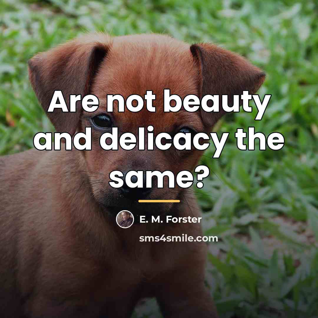 “Are not beauty and delicacy the same?…” quote by E. M. Forster