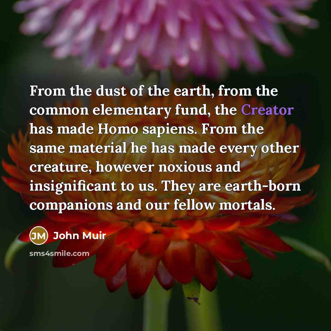“From the dust of the earth, from the common elementary…” quote by John Muir