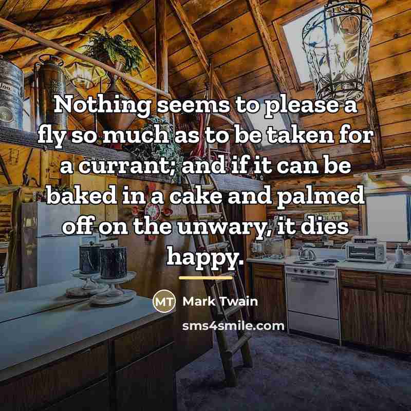 “Nothing seems to please a fly so much as to…” quote by Mark Twain