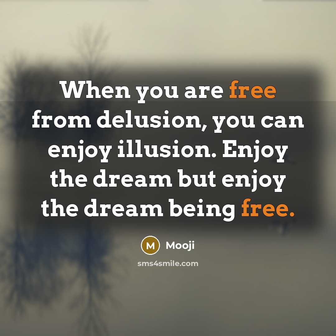 “When you are free from delusion, you can enjoy illusion.…” quote by Mooji