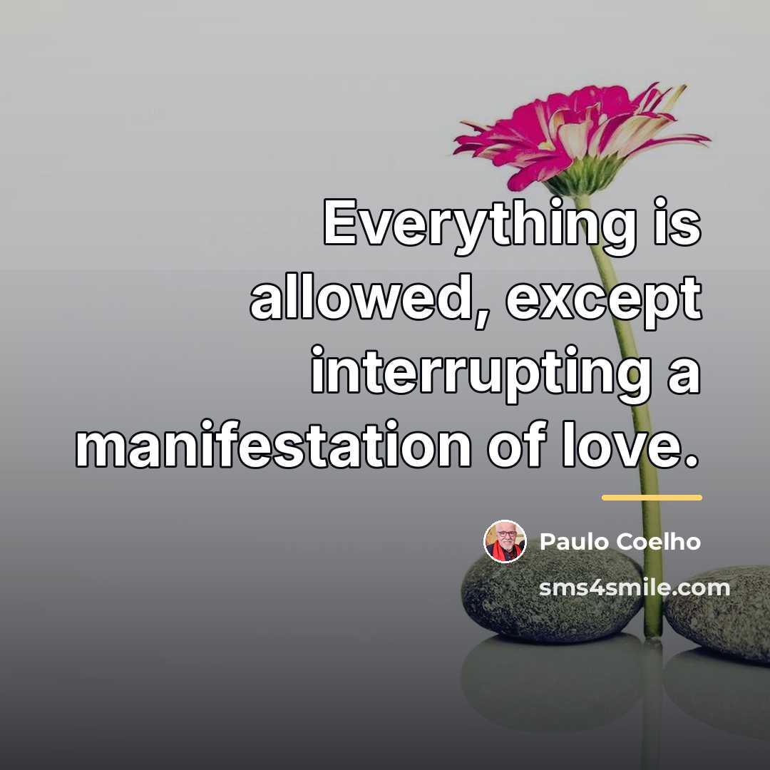 “Everything is allowed, except interrupting a manifestation of love.…” quote by Paulo Coelho