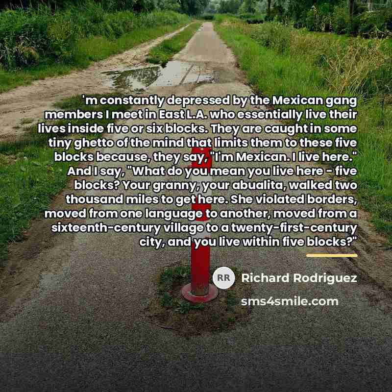 “'m constantly depressed by the Mexican gang members I meet…” quote by Richard Rodriguez