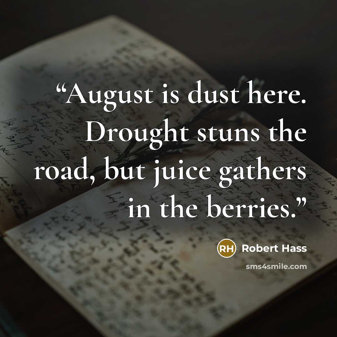 “August is dust here. Drought stuns the road, but juice gathers in the berries.” quote by Robert Hass