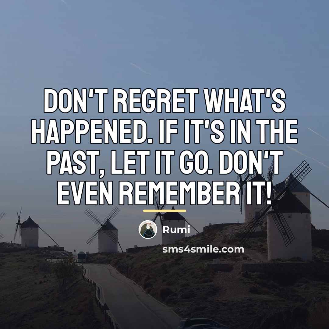 “Don't regret what's happened. If it's in the past, LET…” quote by Rumi