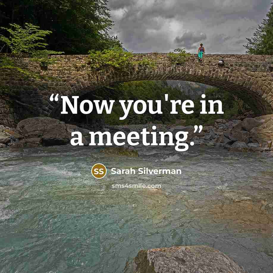 “Now you're in a meeting.” quote by Sarah Silverman