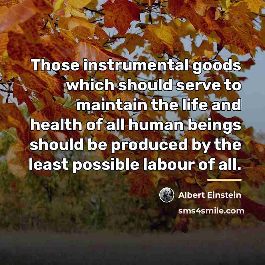 “Those instrumental goods which should serve to maintain the life…” quote by Albert Einstein