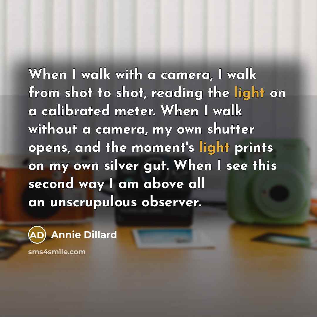 “When I walk with a camera, I walk from shot to shot, reading the light on a calibrated meter. When I walk without a camera, my own shutter opens, and the moment's light prints on my own silver gut. When I see this second way I am above all an unscrupulous observer.” quote by Annie Dillard