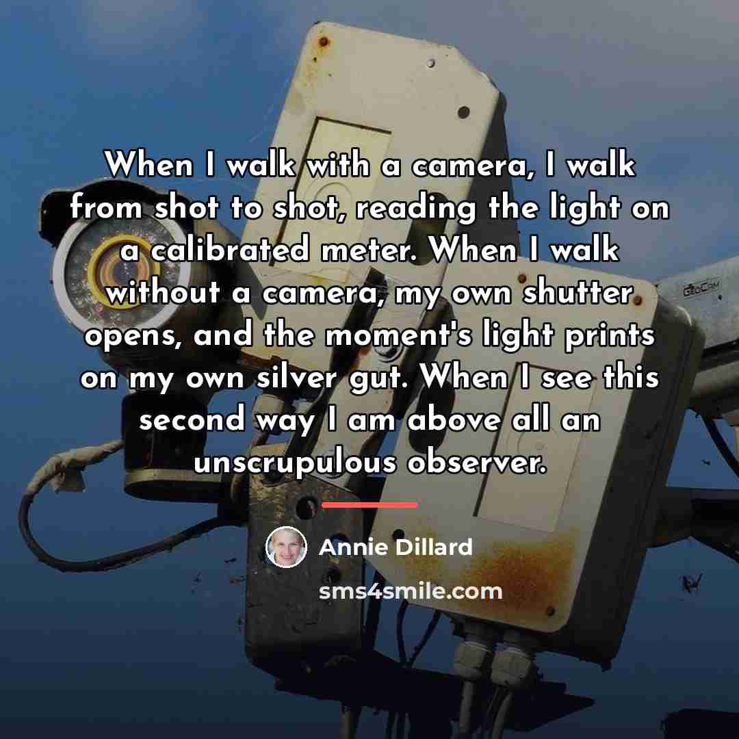 “When I walk with a camera, I walk from shot…” quote by Annie Dillard