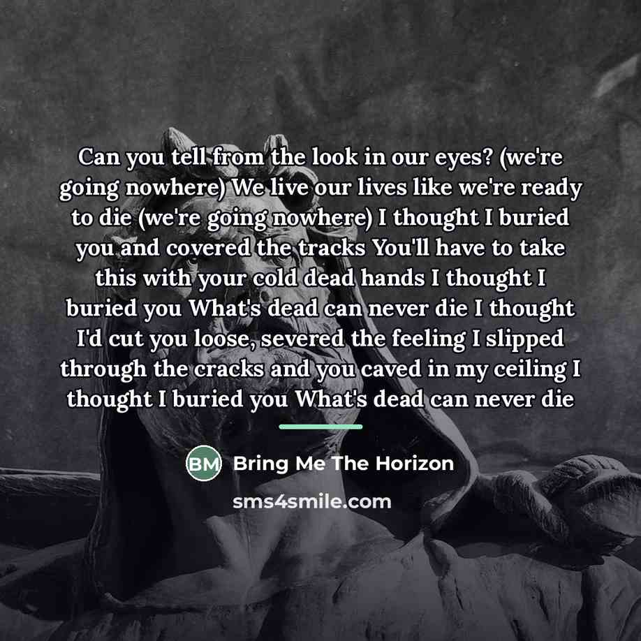 “Can you tell from the look in our eyes? (we're…” quote by Bring Me The Horizon