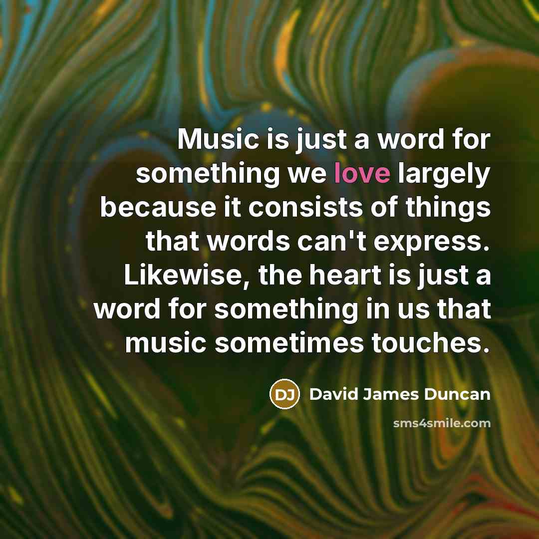 “Music is just a word for something we love largely…” quote by David James Duncan