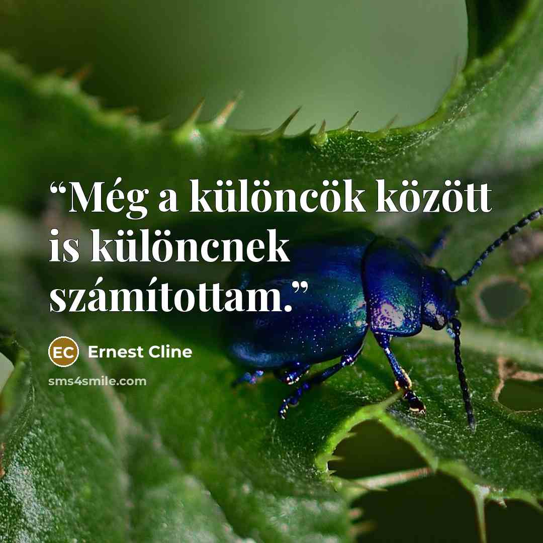 “Még a különcök között is különcnek számítottam.” quote by Ernest Cline