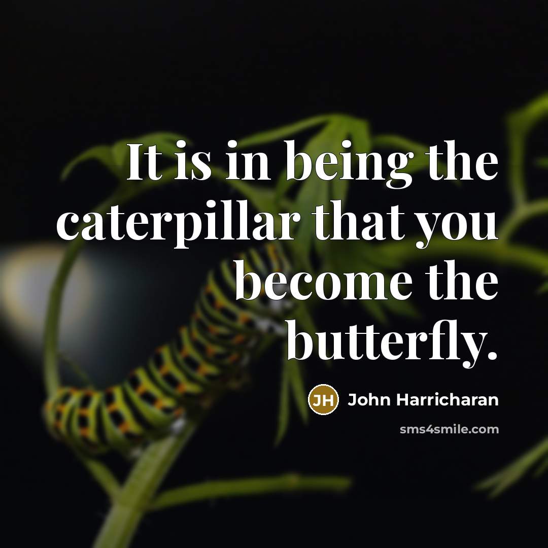 “It is in being the caterpillar that you become the…” quote by John Harricharan