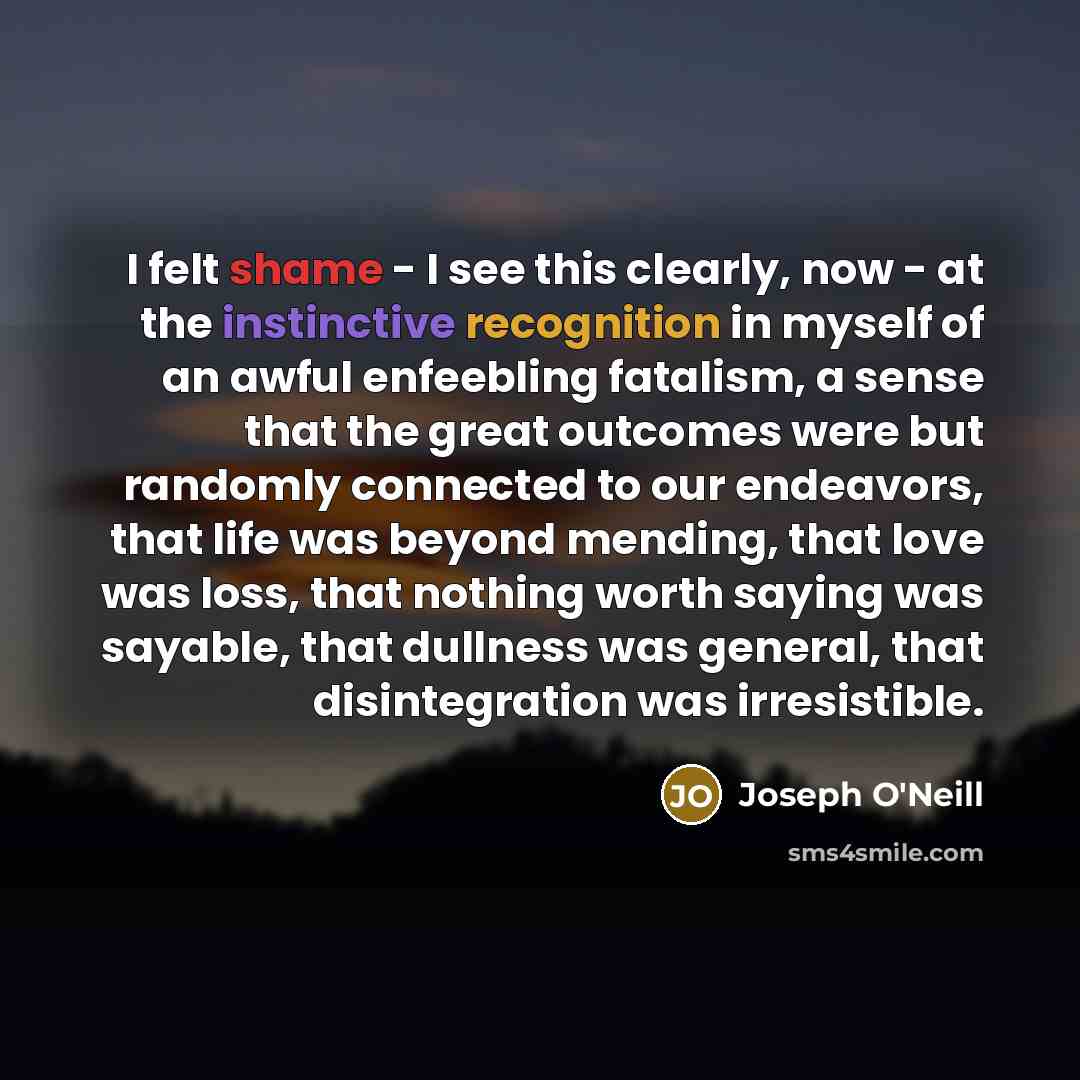 “I felt shame - I see this clearly, now -…” quote by Joseph O'Neill