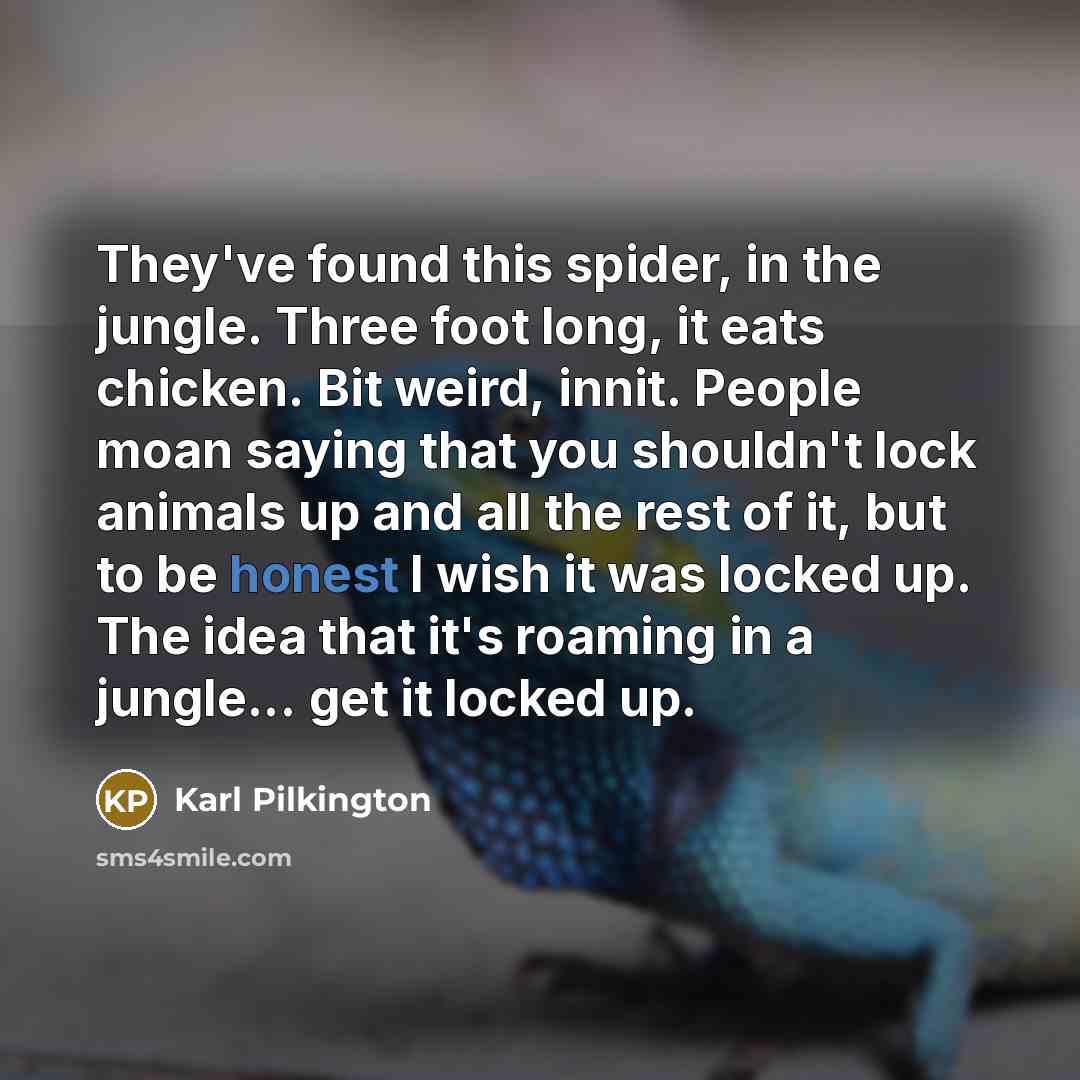 “They've found this spider, in the jungle. Three foot long,…” quote by Karl Pilkington