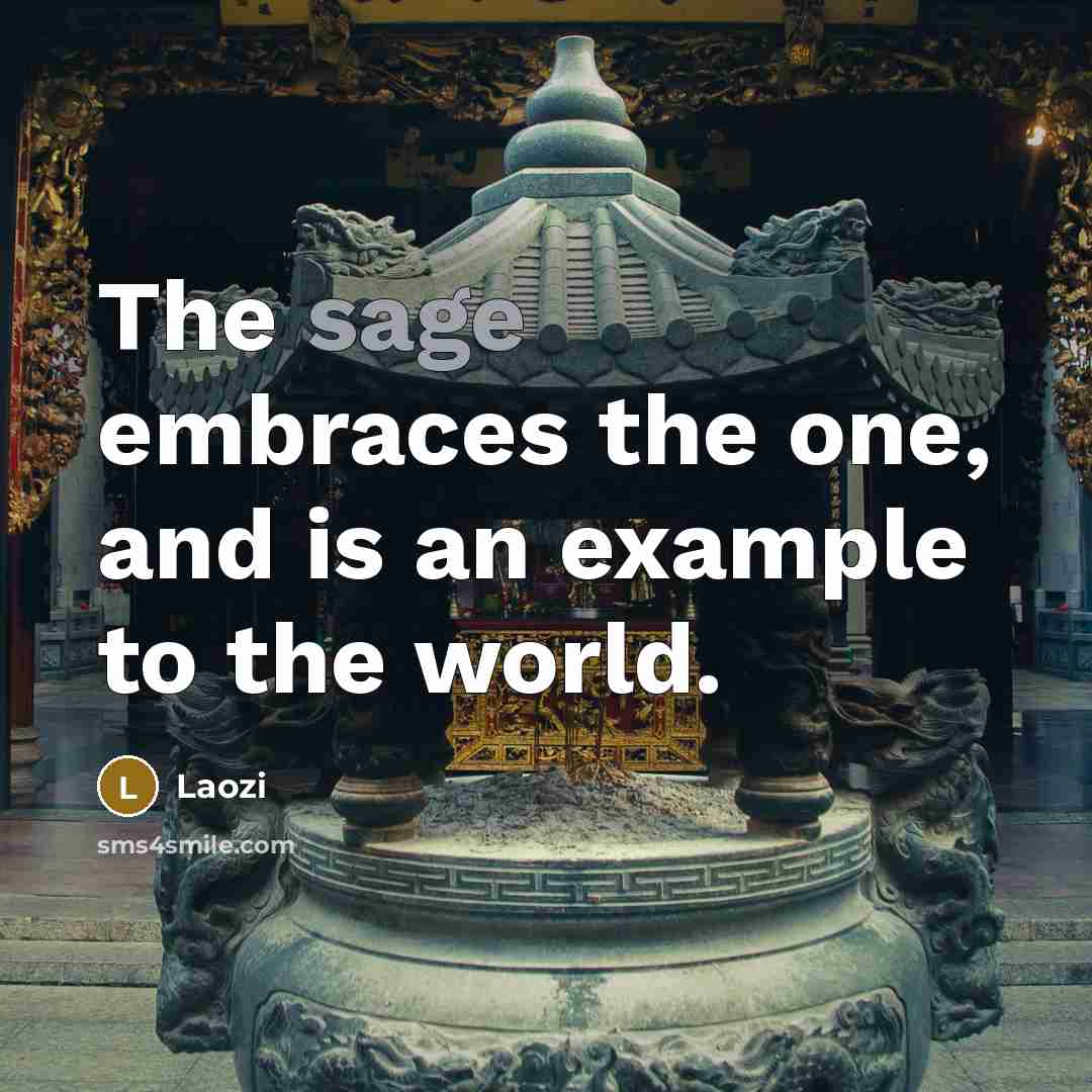 “The sage embraces the one, and is an example to…” quote by Laozi