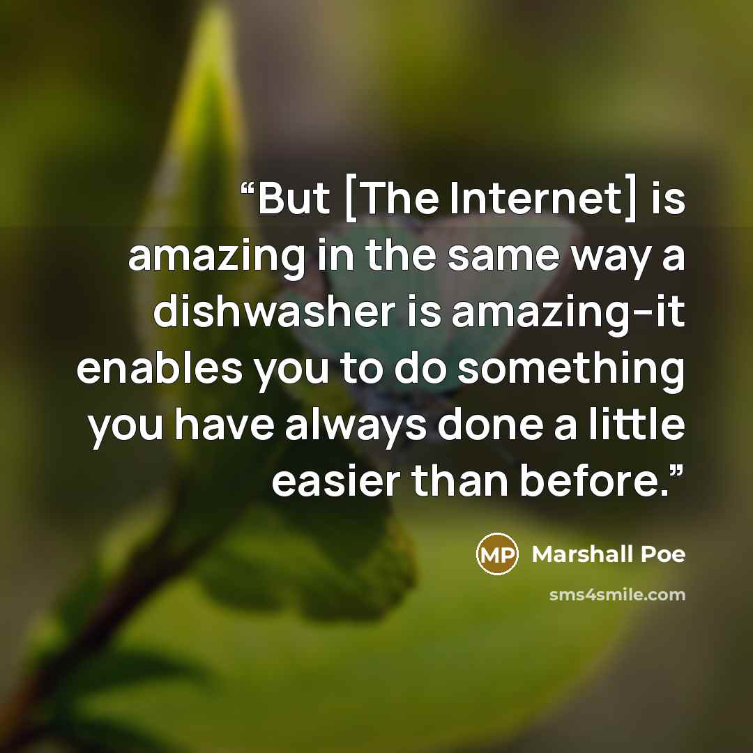 “But [The Internet] is amazing in the same way a dishwasher is amazing--it enables you to do something you have always done a little easier than before.” quote by Marshall Poe