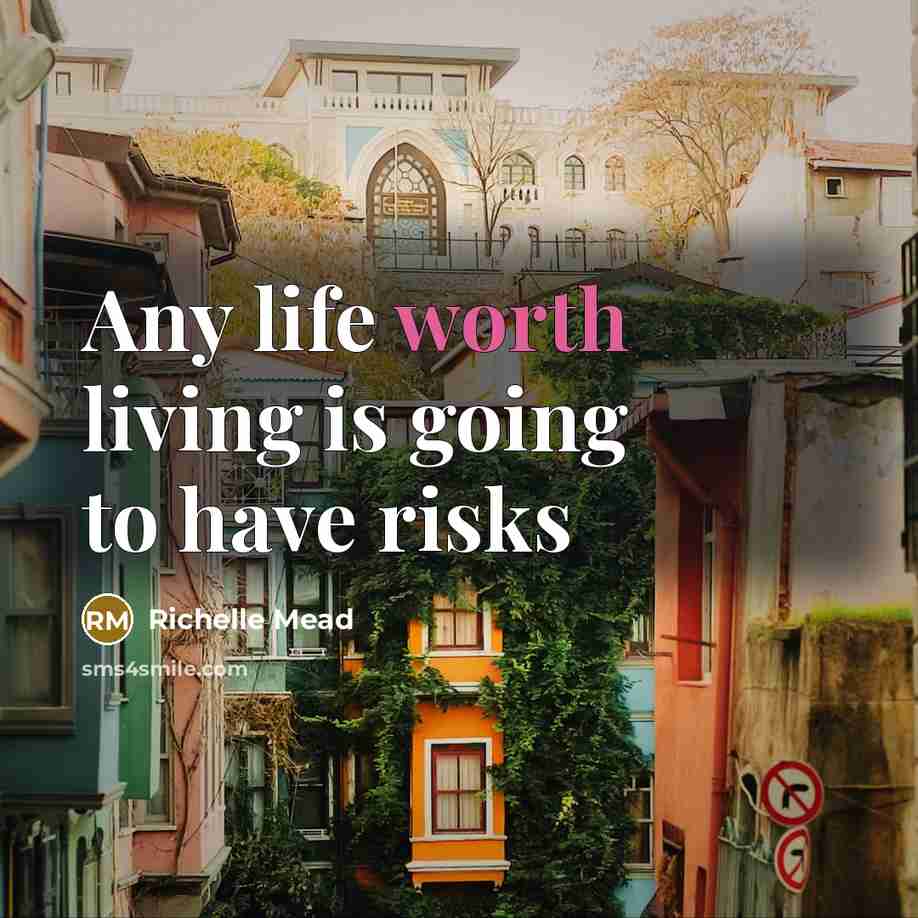 “Any life worth living is going to have risks…” quote by Richelle Mead