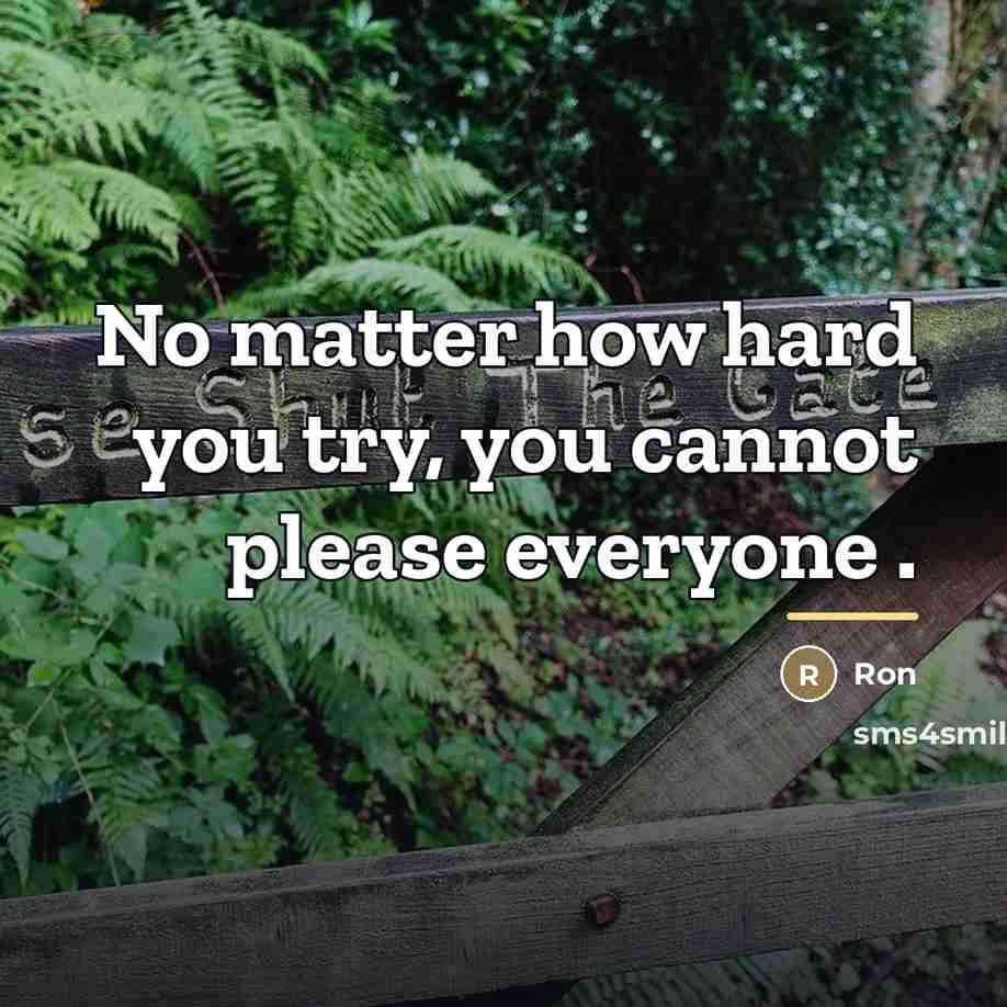 “No matter how hard you try, you cannot please everyone…” quote by Ron