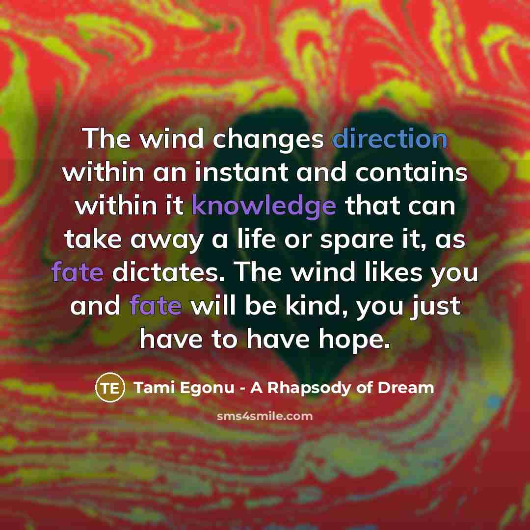 “The wind changes direction within an instant and contains within it knowledge that can take away a life or spare it, as fate dictates. The wind likes you and fate will be kind, you just have to have hope.” quote by Tami Egonu - A Rhapsody of Dream