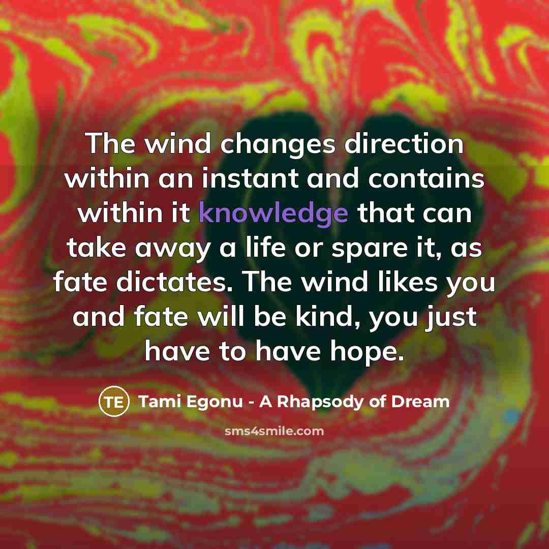 “The wind changes direction within an instant and contains within…” quote by Tami Egonu - A Rhapsody of Dream