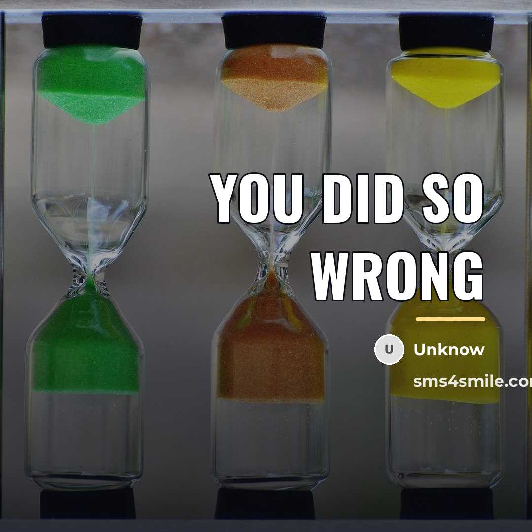 “You did so wrong…” quote by Unknow