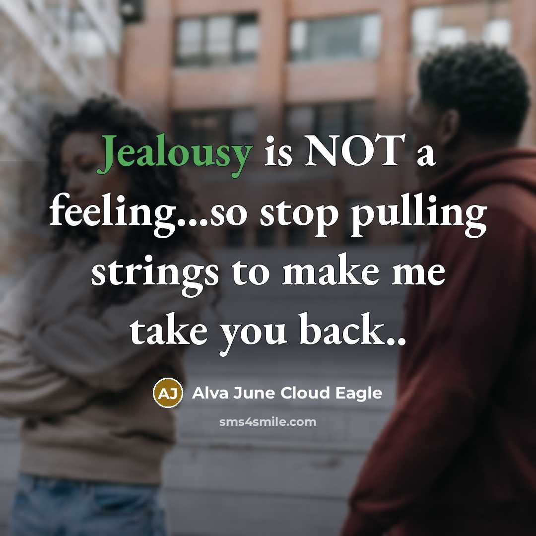 “Jealousy is NOT a feeling...so stop pulling strings to make me take you back..” quote by Alva June Cloud Eagle