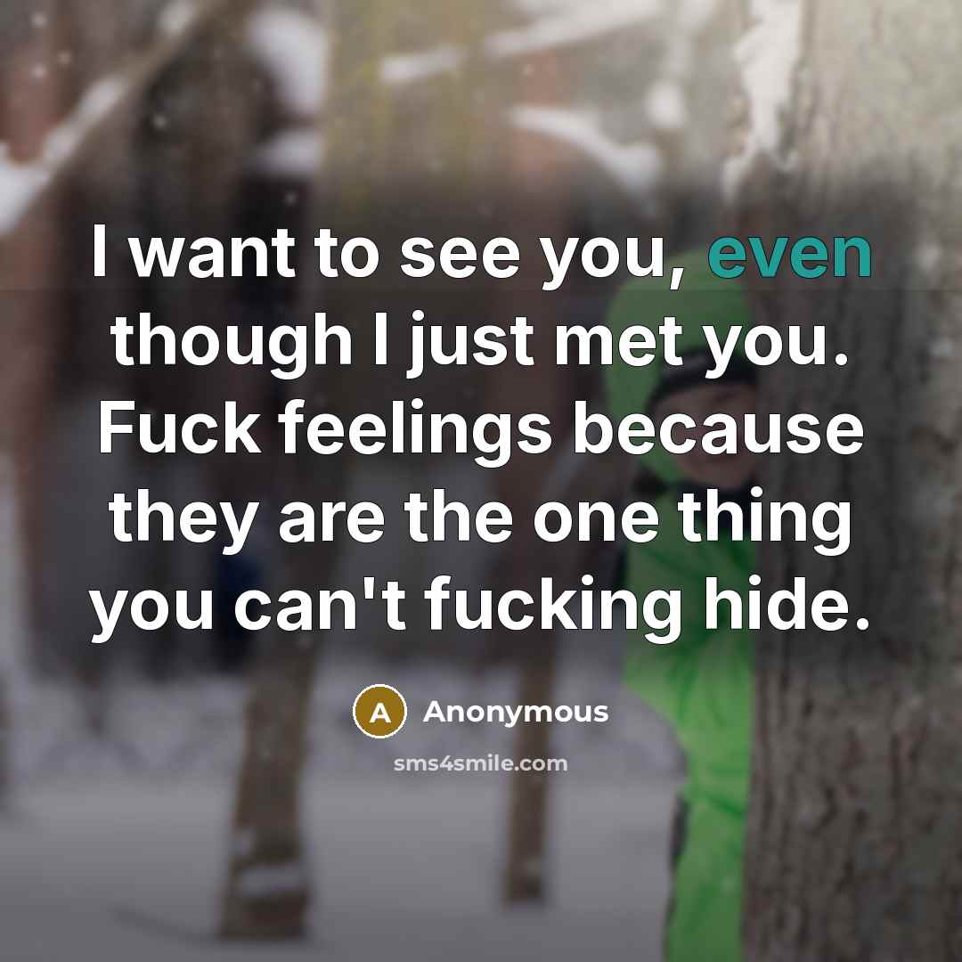 “I want to see you, even though I just met you. Fuck feelings because they are the one thing you can't fucking hide.” quote by Anonymous