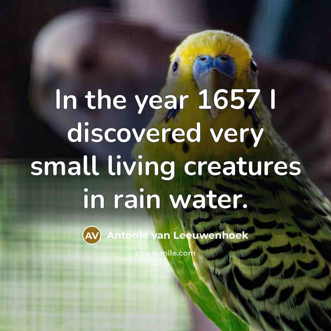 “In the year 1657 I discovered very small living creatures…” quote by Antonie van Leeuwenhoek