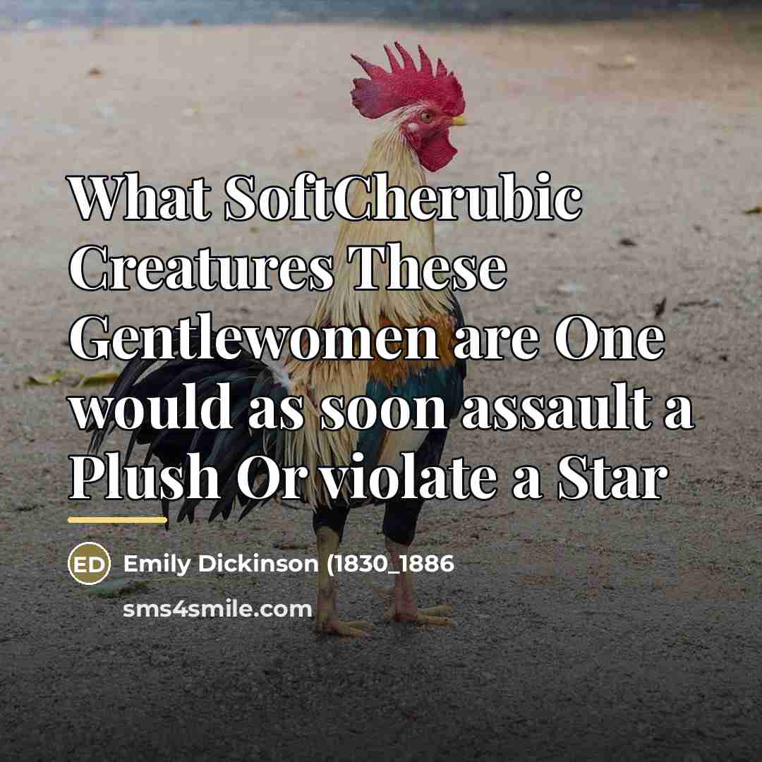 “What SoftCherubic Creatures These Gentlewomen are One would as soon…” quote by Anonymous