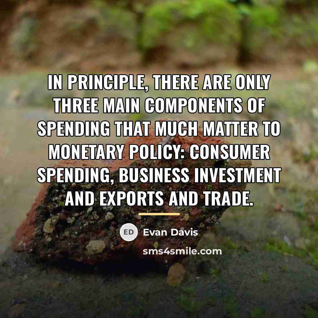 “In principle, there are only three main components of spending…” quote by Evan Davis