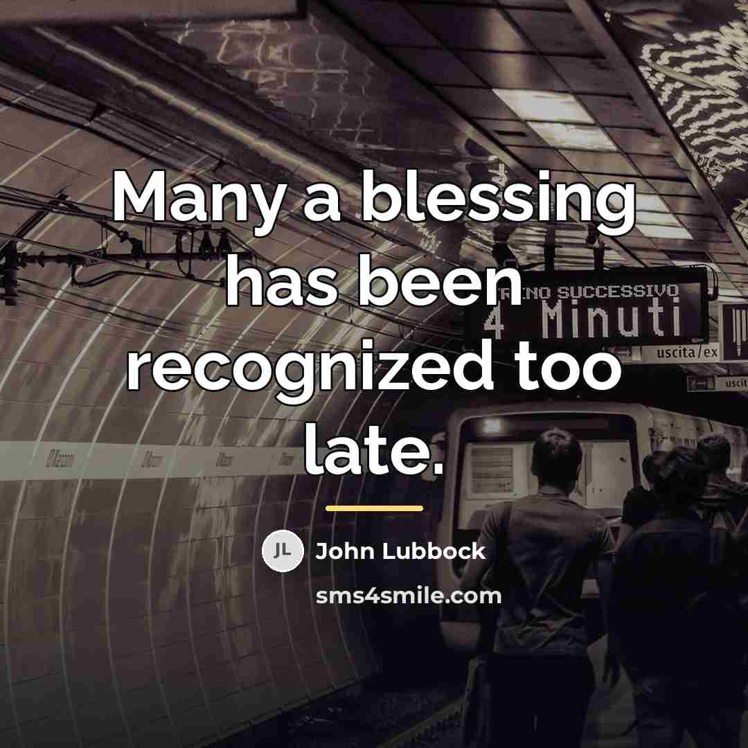 “Many a blessing has been recognized too late.…” quote by John Lubbock