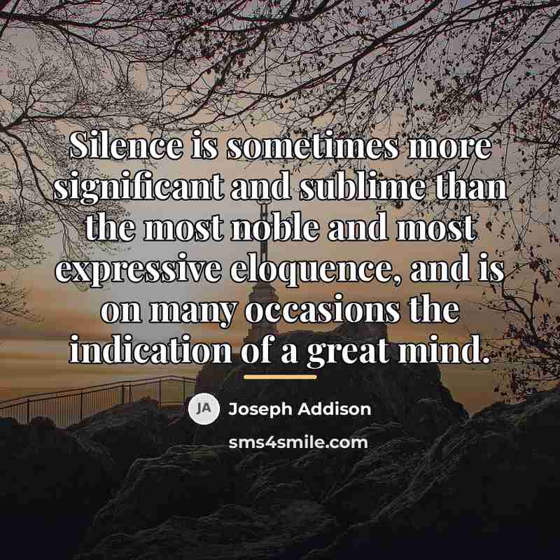“Silence is sometimes more significant and sublime than the most…” quote by Joseph Addison