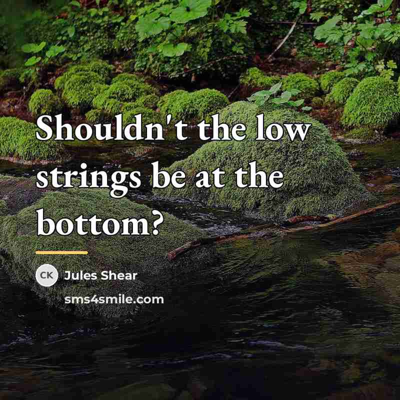 “Shouldn't the low strings be at the bottom?…” quote by Jules Shear