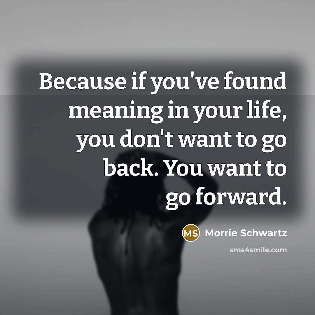 “Because if you've found meaning in your life, you don't want to go back. You want to go forward.” quote by Morrie Schwartz