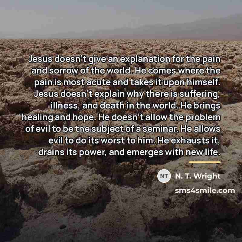 “Jesus doesn't give an explanation for the pain and sorrow…” quote by N. T. Wright