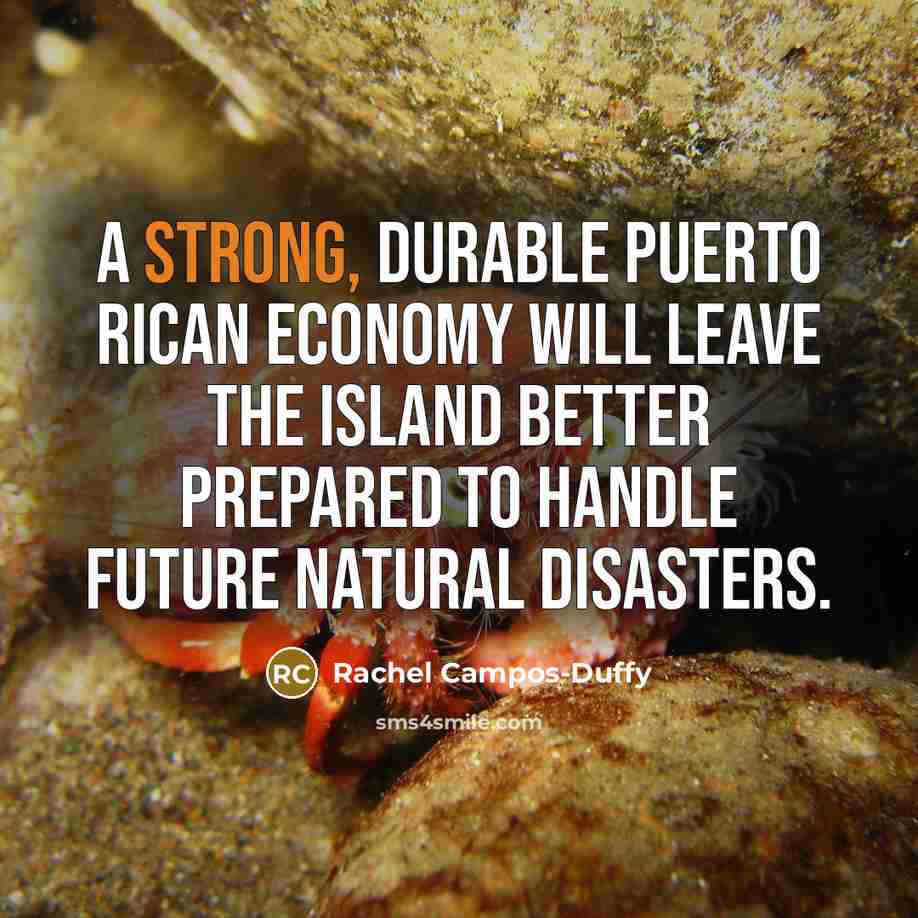 “A strong, durable Puerto Rican economy will leave the island…” quote by Rachel Campos-Duffy