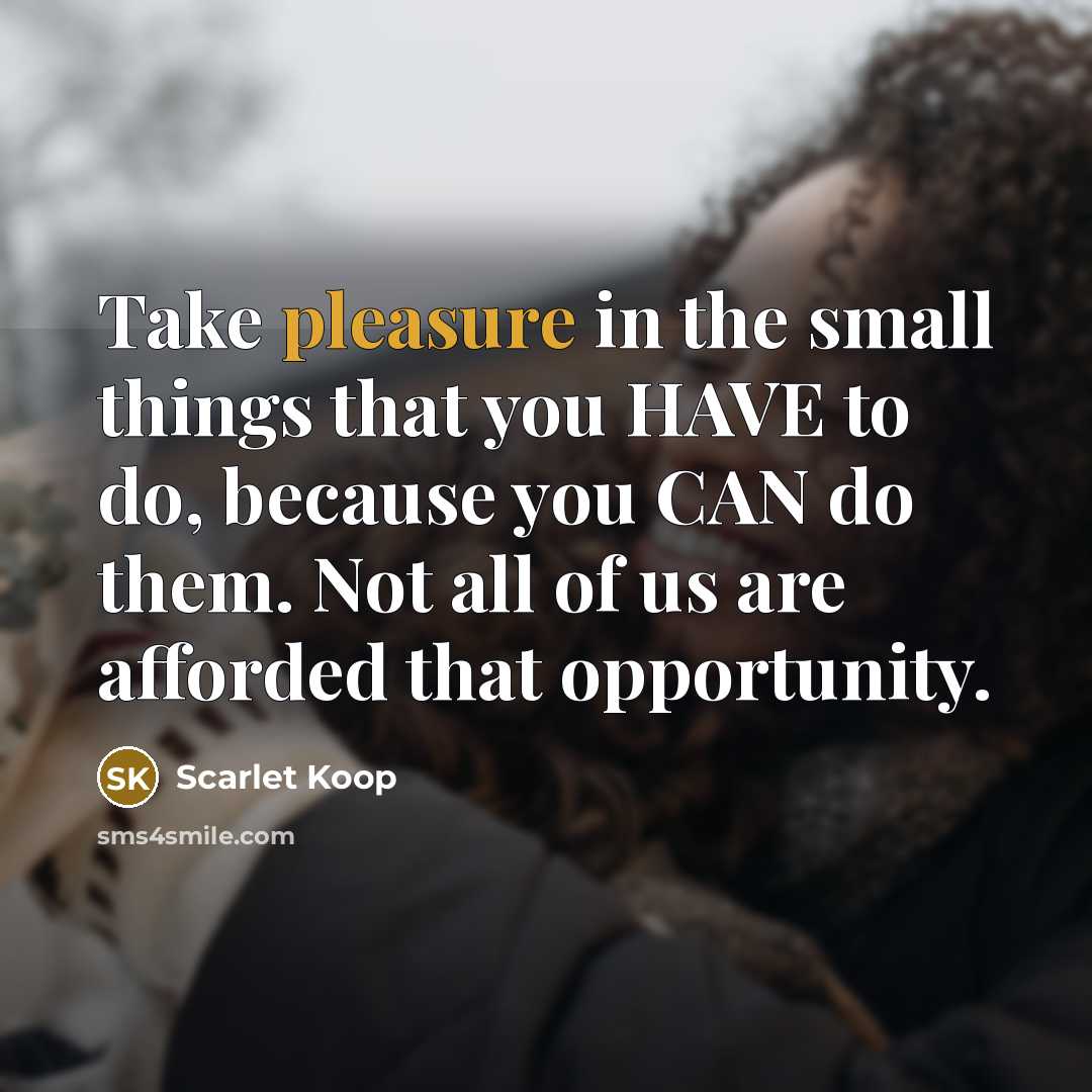“Take pleasure in the small things that you HAVE to…” quote by Scarlet Koop