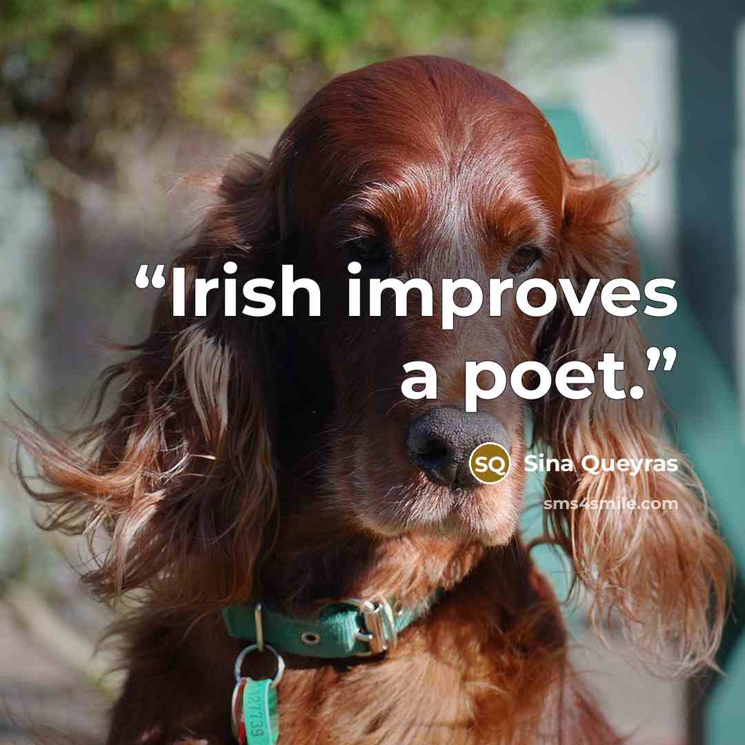 “Irish improves a poet.” quote by Sina Queyras