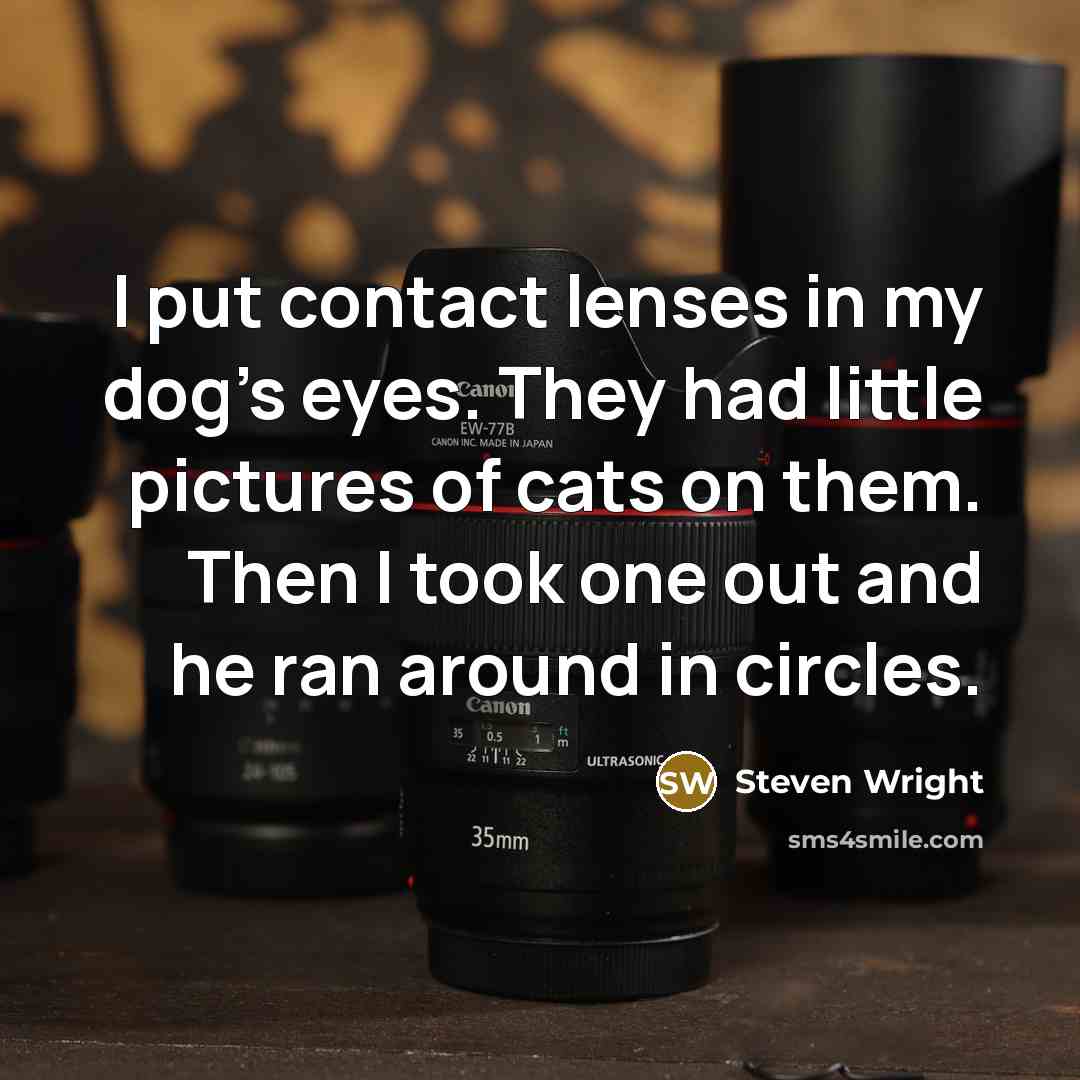 “I put contact lenses in my dog's eyes. They had…” quote by Steven Wright