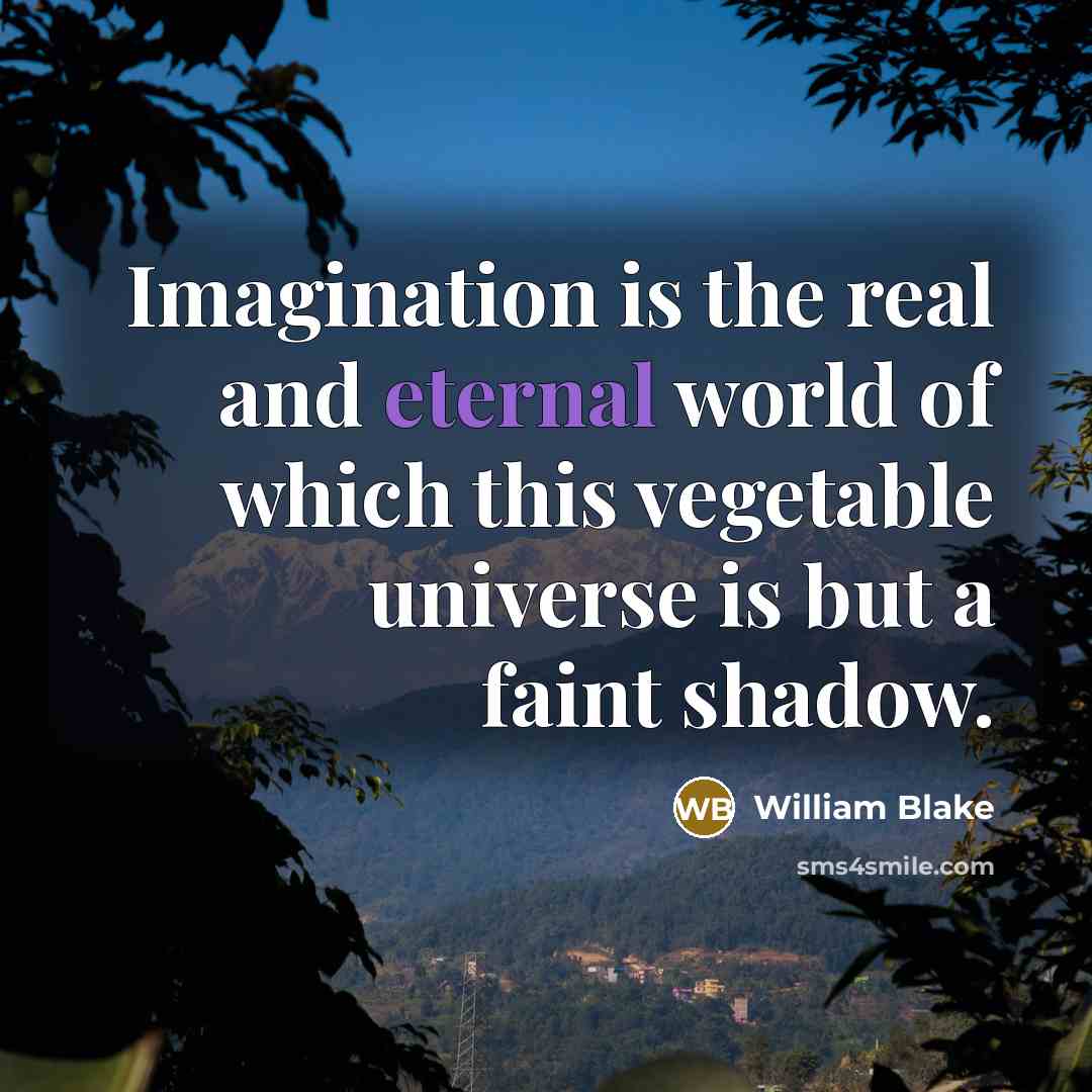 “Imagination is the real and eternal world of which this…” quote by William Blake