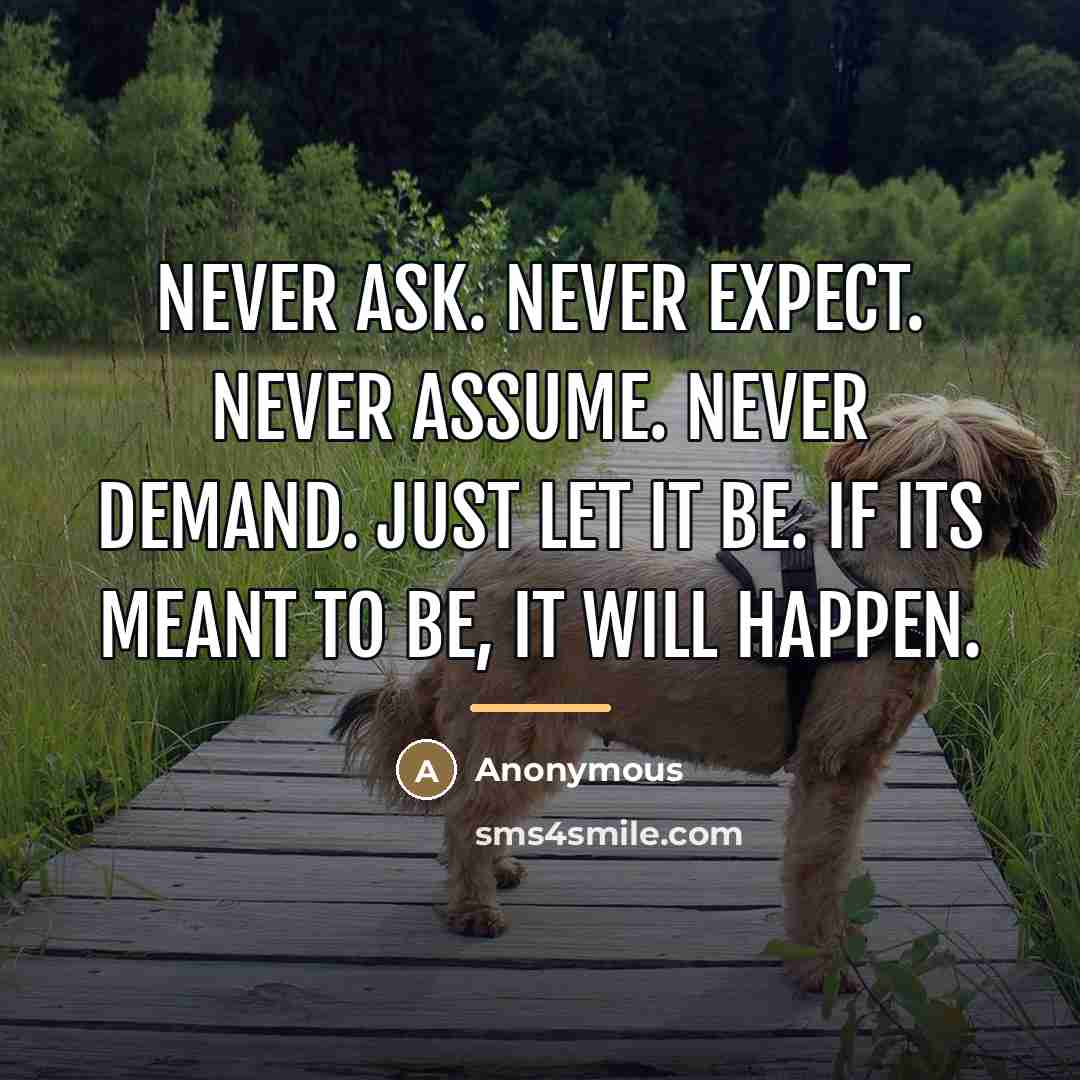 “Never Ask. Never Expect. Never Assume. Never Demand. Just let…” quote by Anonymous